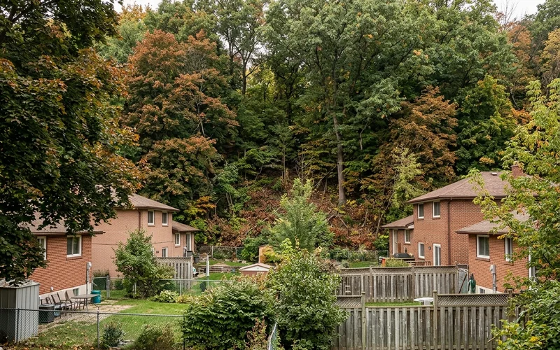 Highland Creek ravine slope behind Scarborough backyards