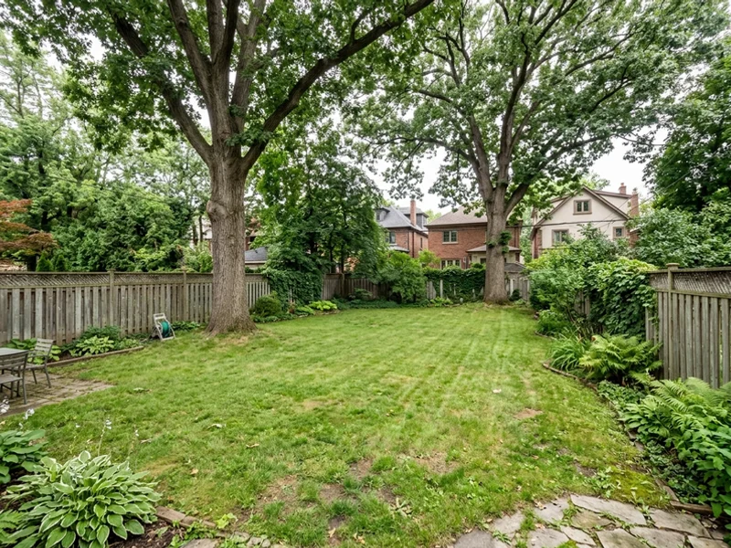 Before: Forest Hill backyard with two protected oaks