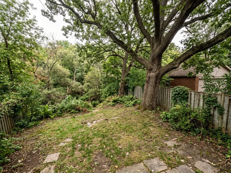 Before: sloping High Park rear yard at a ravine edge
